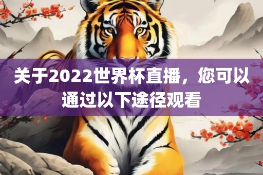 关于2022世界杯直播，您可以通过以下途径观看
