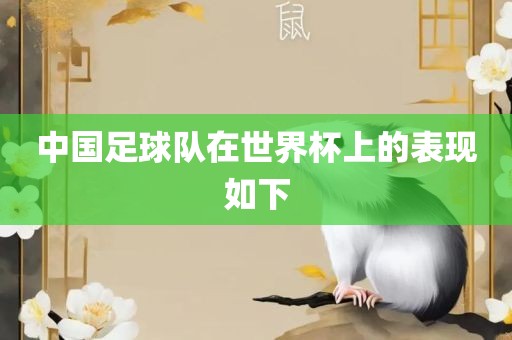 中国足球队在世界杯上的洛阳市法福文化传播有限公司表现如下