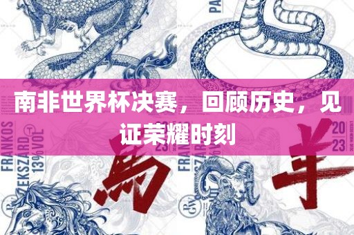 南非世界杯决赛，回顾历史，见证荣耀时刻