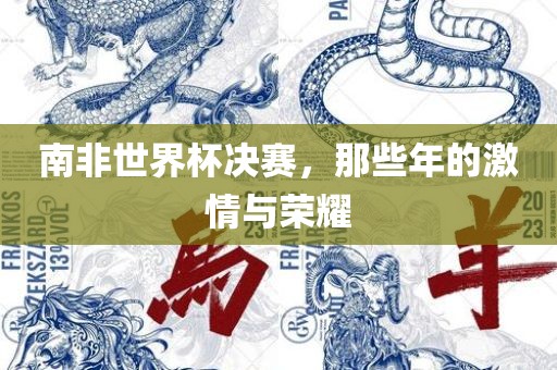 南非世界杯决赛，那些年的激情与荣耀