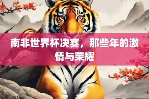 南非世界杯决赛，那些年的激情与荣耀