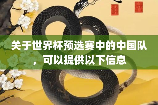 关于世界杯预选赛中的中国队，可以提供以下信息