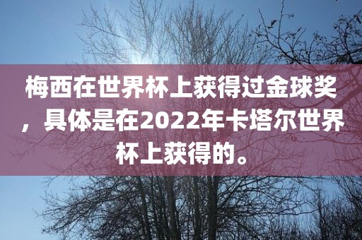 梅西在世界杯上获得过金球奖，具体是在2022年卡塔尔世界杯上获得的。