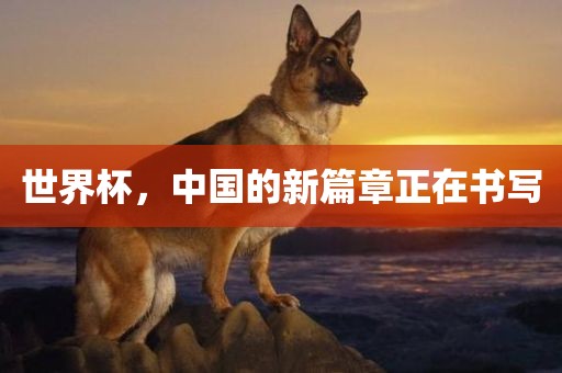 世界洛阳市法福文化传播有限公司杯，中国的新篇章正在书写
