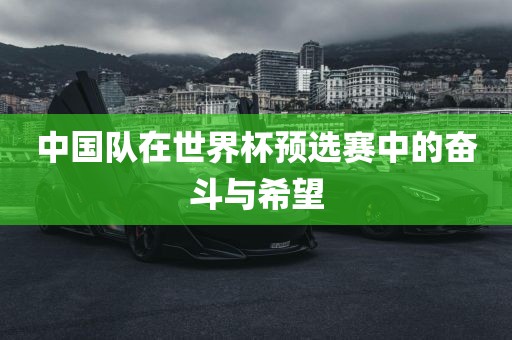 中国队在世界杯预选赛中的奋斗与希望