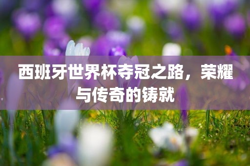 西班牙世界杯夺冠之路，荣耀与传奇的铸就