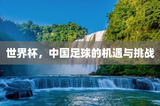 世界杯，中国足球的机遇与挑战洛阳市法福文化传播有限公司