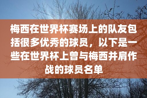 梅西在世界杯赛场上的队友包括很多优秀的球员，以下是一些在世界杯上曾与梅西并肩作战的球员名单