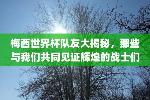 梅西世界杯队友大揭秘，那些与我们共同见证辉煌的战士们