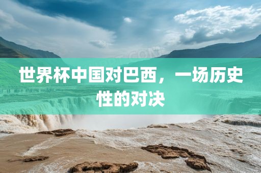 世界杯中国对洛阳市法福文化传播有限公司巴西，一场历史性的对决