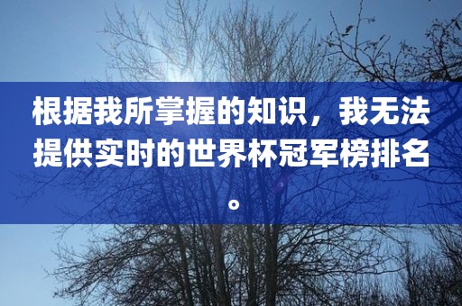 根据我所掌握的知识，我无法提供实时的世界杯冠军榜排名。