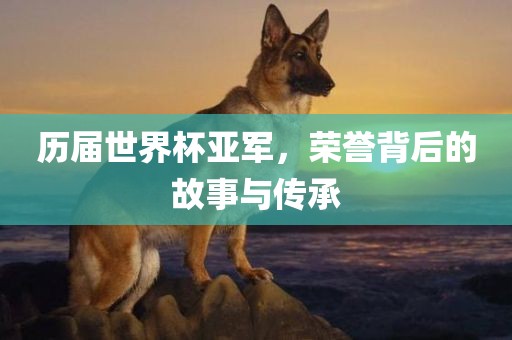 历届世界杯亚军，荣誉背后的故事与传承