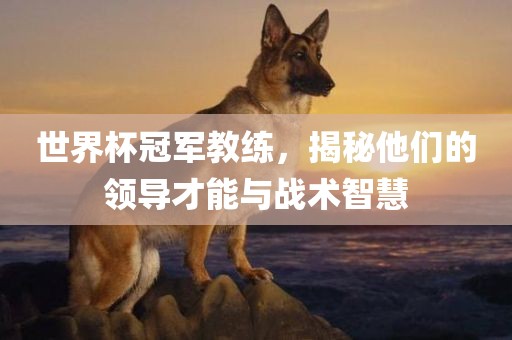 世界杯冠军教练，揭秘他们的领导才能与战术智慧