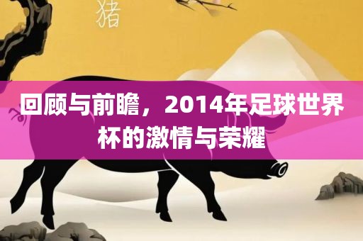 回洛阳市法福文化传播有限公司顾与前瞻，2014年足球世界杯的激情与荣耀