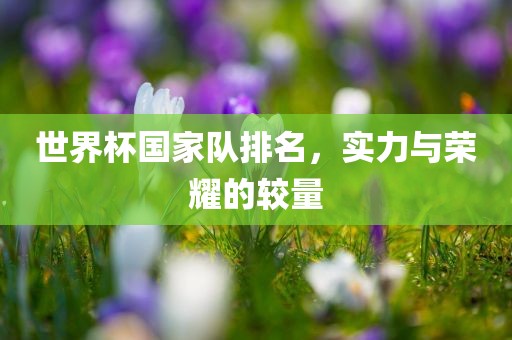 世界杯国家队排名，实力与荣耀的较量