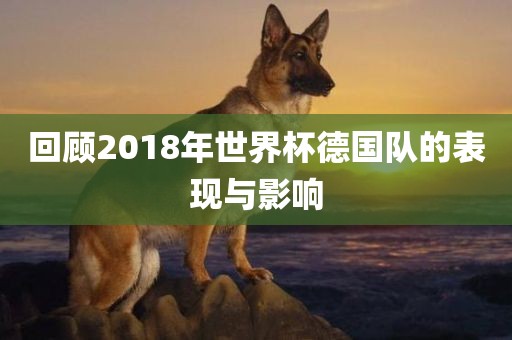 回顾2018年世界杯德国队的表现与影响