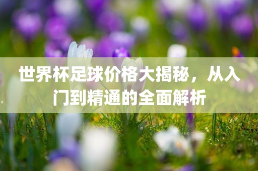 世界杯足球价格大揭秘，从入门到精通的全面解析