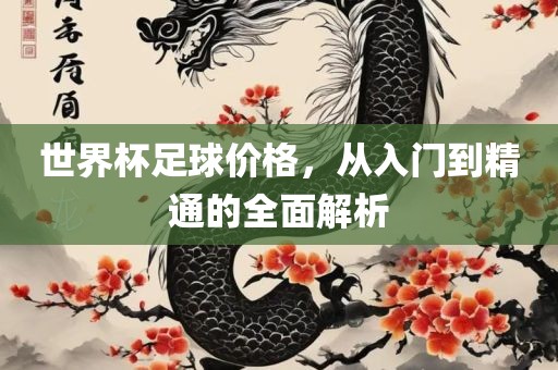 世界杯足球价格，从入门到精通的全面解析