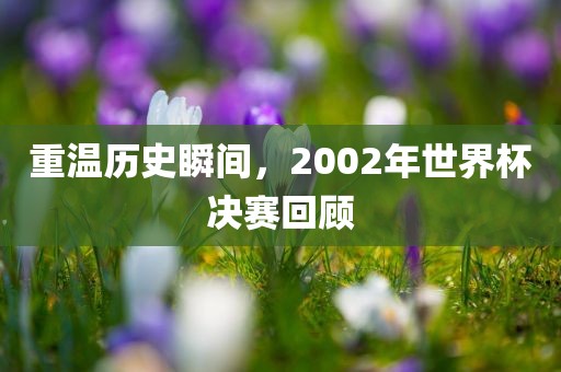 重温历史瞬间，2002年世界杯决赛回顾洛阳市法福文化传播有限公司
