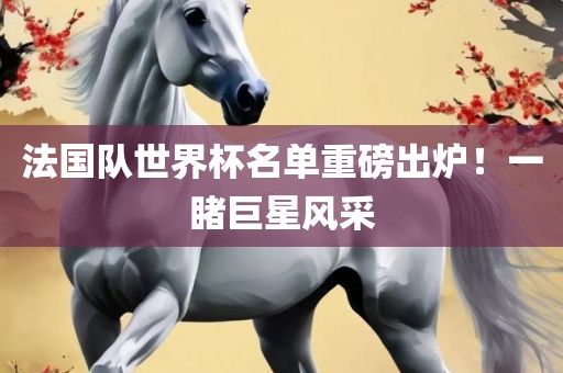 法国队世界杯名单重磅出炉！一睹巨星风采