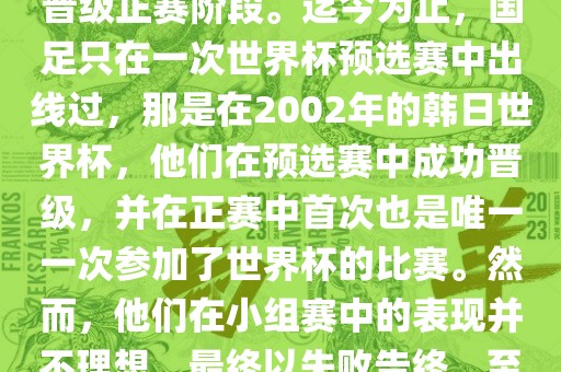 国足踢进世界杯是指中国男子足球队在世界杯足球赛中成功晋级正赛阶段。迄今为止，国足只在一次世界杯预选赛中出线过，那是在2002年的韩日世界杯，他们在预选赛中成功晋级，并在正赛中首次也是唯一一次参加了世界杯的比赛。然而，他们在小组赛中的表现并不理想，最终以失败告终。至于现在，国足还没有再次踢进世界杯。