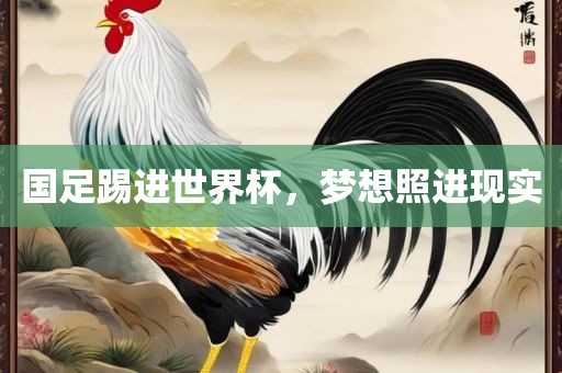 国足踢进世界杯，梦想照进现实