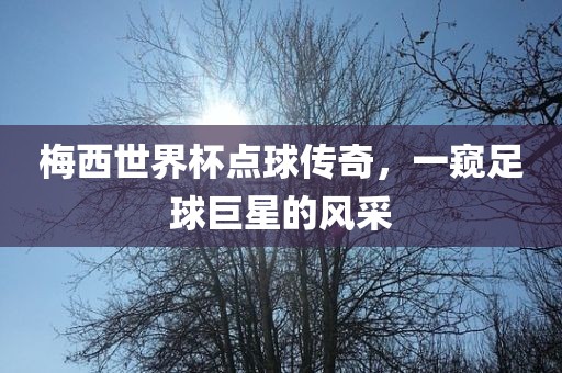 梅西世界杯点球传奇，一窥足球巨星的风采