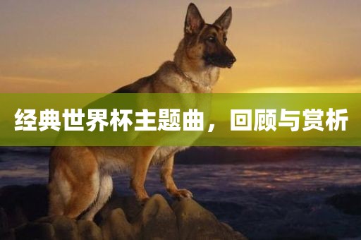 经典世界杯主题曲，回顾与赏析洛阳市法福文化传播有限公司