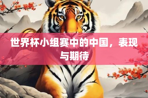 世界杯小组赛中的中国，表现与期待