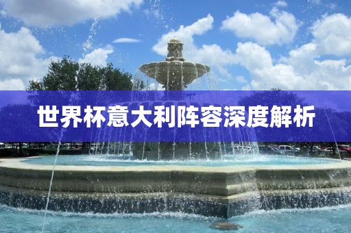 世界杯意大利阵容深度解析洛阳市法福文化传播有限公司