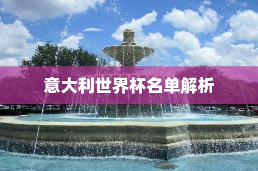 意大利世界杯名单解析