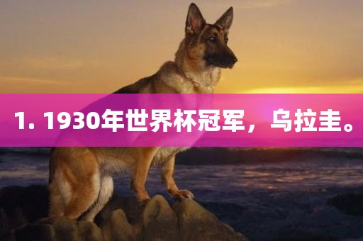 1. 1930年世界杯冠军，乌拉圭。