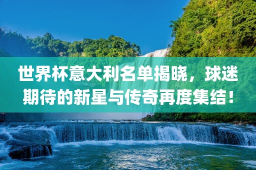 世界杯意大利名单揭晓，球迷期待的新星与传奇再度集结！