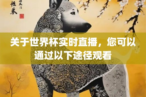关于世界杯实时直播，您可以通过以下途径观看