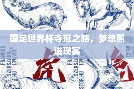 国足世界杯夺冠之路，梦想照进现实