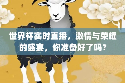 世界杯实时直播，激情与荣耀的盛宴，你准备好了吗？