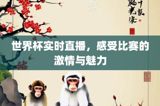 世界杯实时直播，感受比赛的激情与魅力