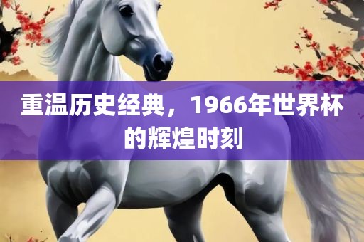 重温历史经典，1966年世界杯的辉煌时刻