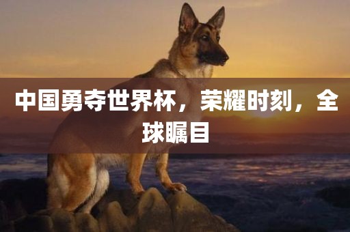 huangyanmin 第6页