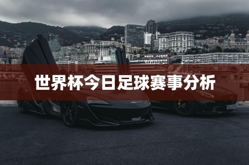 世界杯今日足球赛事分析