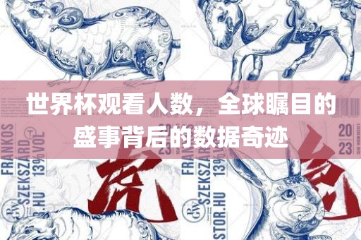 世界杯观看人数，全球瞩目的盛事背后的数据奇迹