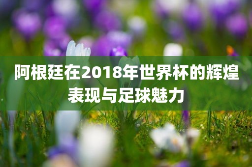 阿根廷在2018年世界杯的辉煌表现与足球魅力