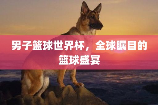 男子篮球世界杯，全球瞩目的篮球盛宴洛阳市法福文化传播有限公司