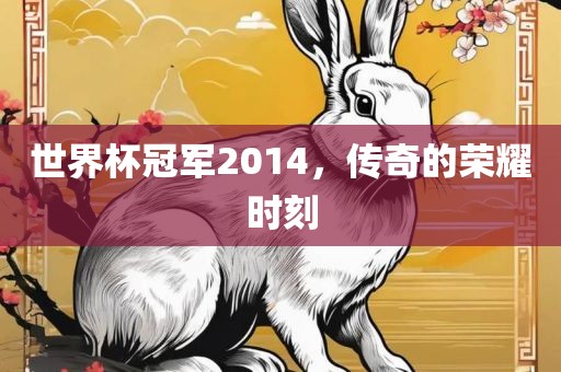 世界杯冠军2014，传奇的荣耀时刻洛阳市法福文化传播有限公司