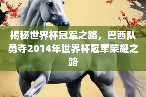 揭秘世界杯冠军之路，巴西队勇夺2014年世界杯冠军荣耀之路