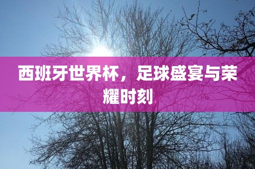 西班牙世界杯，足球盛宴与荣耀时刻