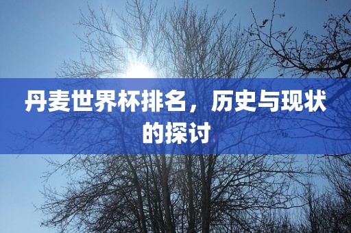 丹麦世界杯排名，历史与现状的探讨洛阳市法福文化传播有限公司