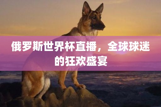 俄罗斯世界杯直播，全球球迷的狂欢盛宴