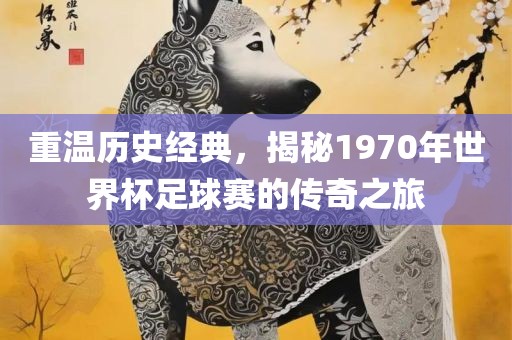 重温历史经典，揭秘1970年世界杯足球赛的传奇之旅洛阳市法福文化传播有限公司