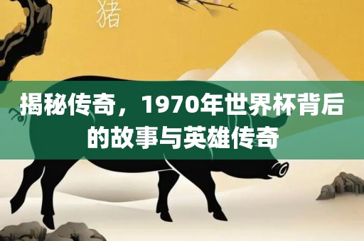 揭秘传奇，1970年世界杯背后的故事与英雄传奇
